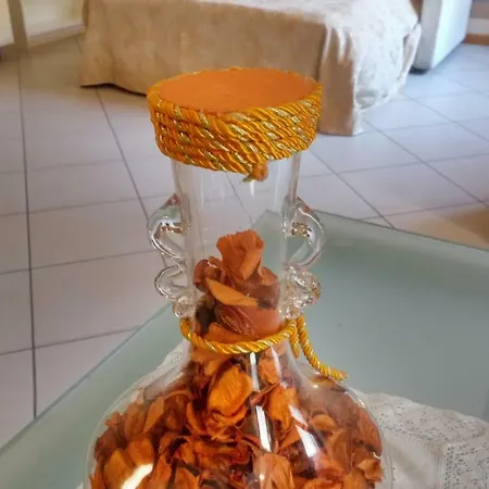 Bilocale In Centro Apartamento *